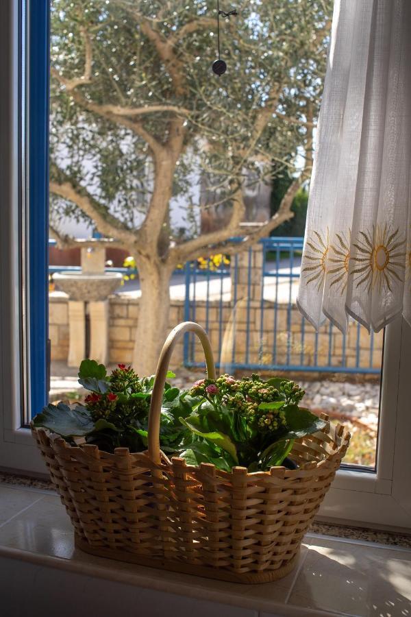 Olive Tree Apartments Umag Bagian luar foto