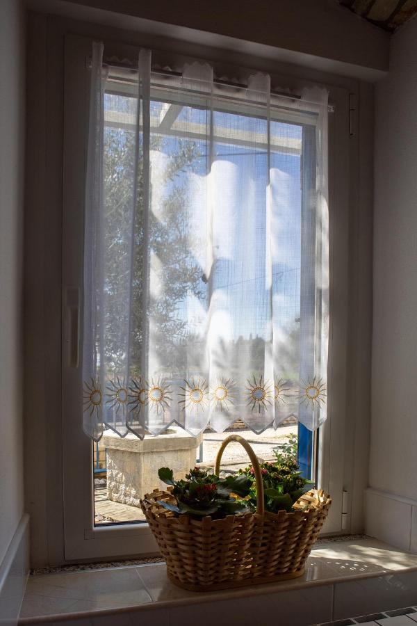 Olive Tree Apartments Umag Bagian luar foto