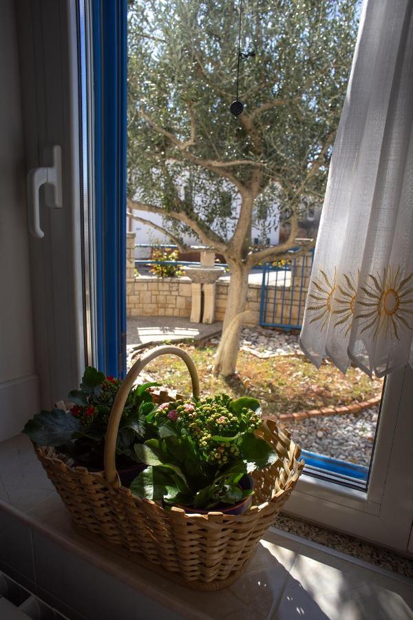 Olive Tree Apartments Umag Bagian luar foto