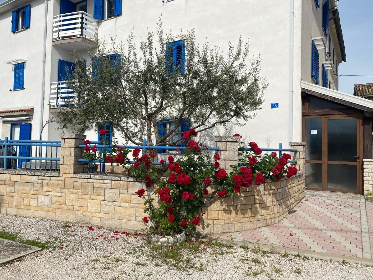 Olive Tree Apartments Umag Bagian luar foto